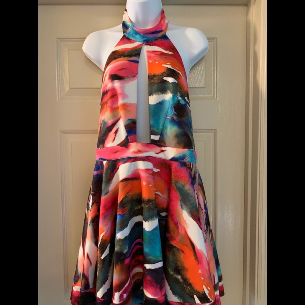 Bebe Plunge Water Color Halter Dress